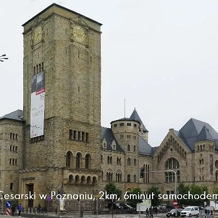 דירה Homely Place Serce Poznania - Stary Rynek - Parking פוזנן